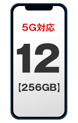 iPhone 12(256GB)